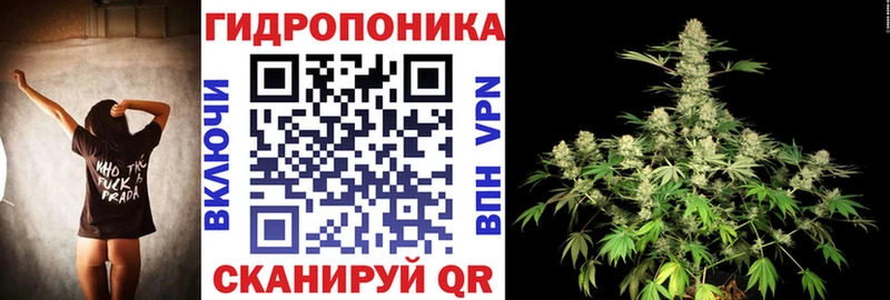 Цена Александровск-Сахалинский Галлюциногенные грибы  blacksprut зеркало  МЕТАДОН  Каннабис  Меф мяу мяу  COCAIN 