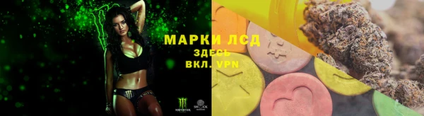 apvp Алексин
