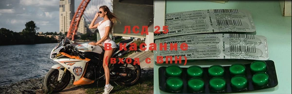 шишки Алзамай