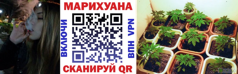 купить  цена  Александровск-Сахалинский  Канабис тримм 